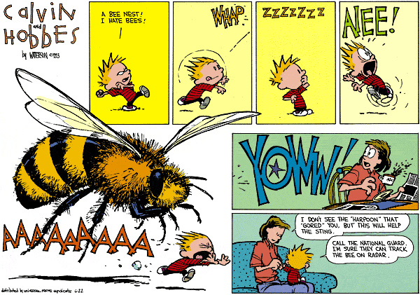 The moral: leave the poor bees alone. Yellowjackets, on the other hand, are fair game.