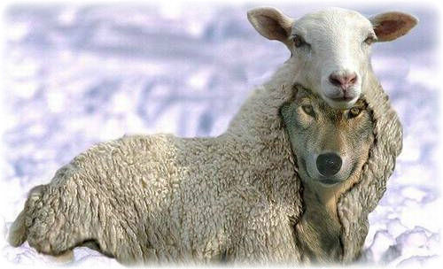 Cue obligatory "dogs aren't wolves!"