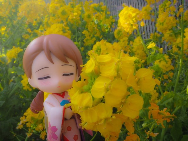 kanunyakaku 560 days