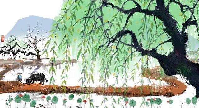 Man with ox by fields full of water